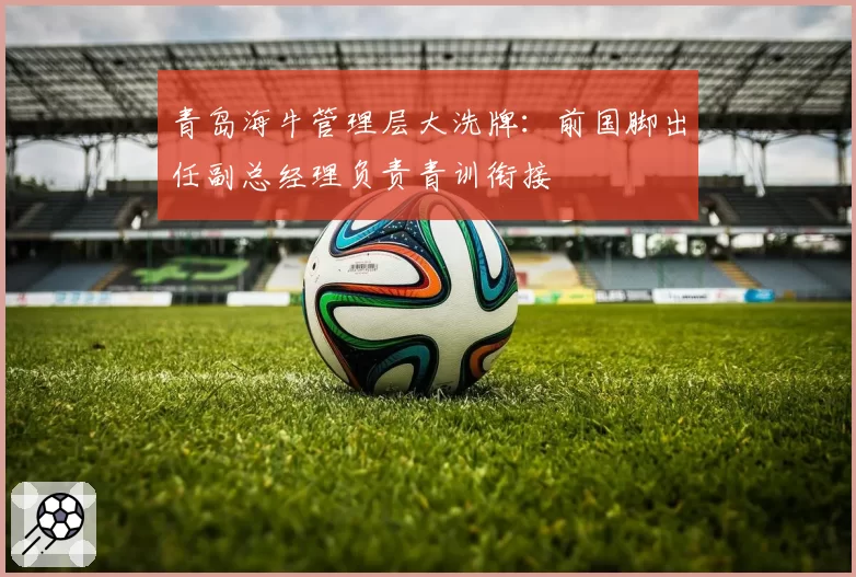 青岛海牛管理层大洗牌：前国脚出任副总经理负责青训衔接