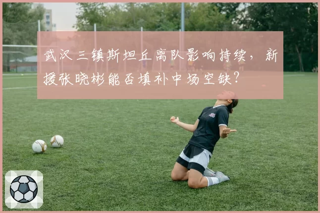 武汉三镇斯坦丘离队影响持续,新援张晓彬能否填补中场空缺?