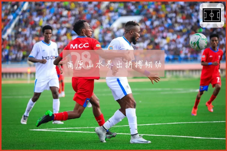 高原山水养出拼搏韧劲